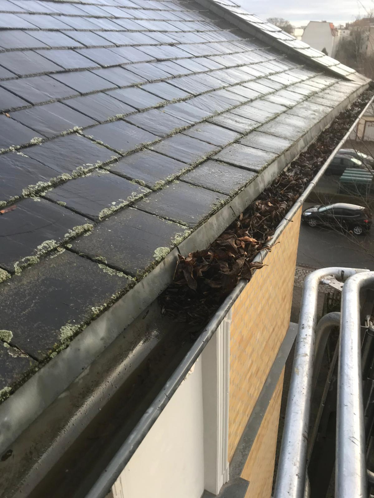 Baumfällung und Forstpflege im Habichtswald