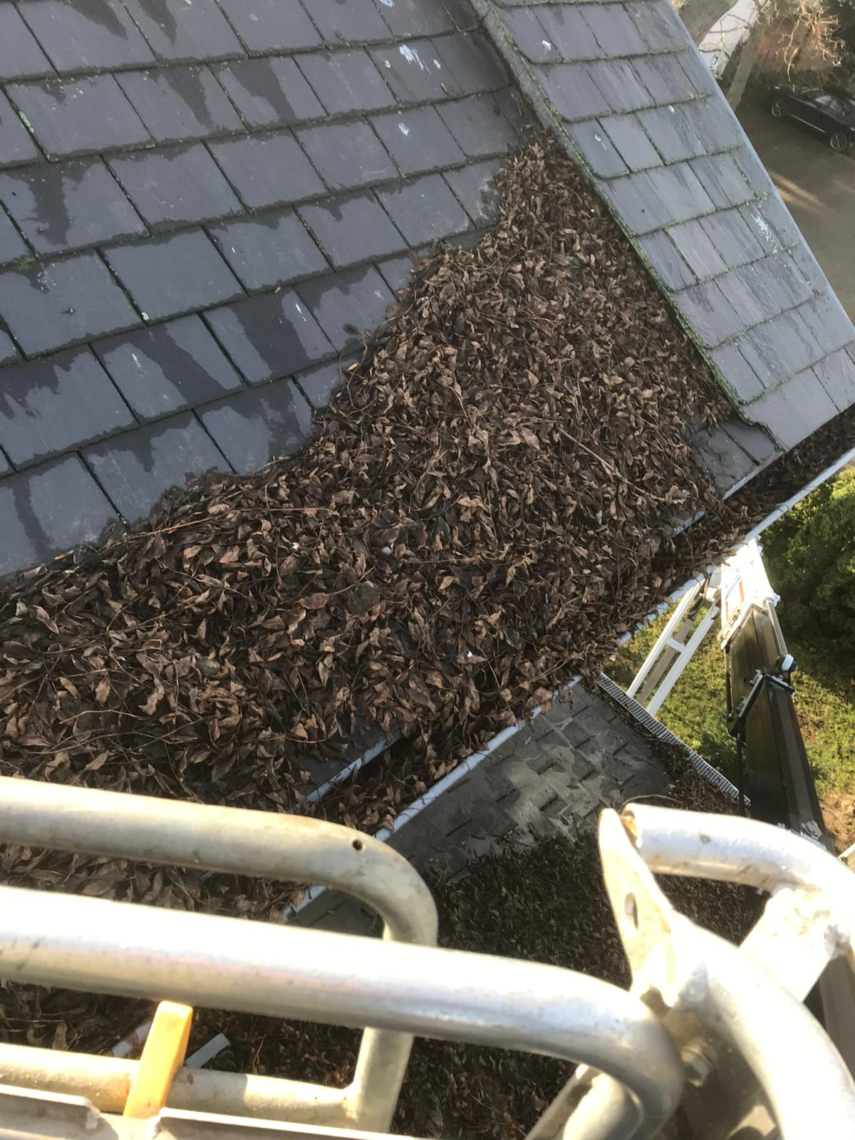 Parkanlage mit Teich und Gehwegen