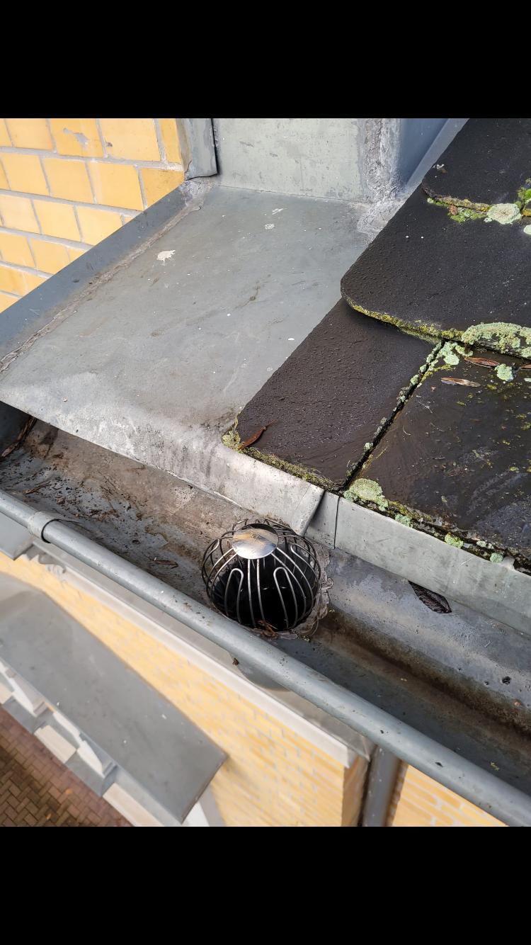 Moderner Garten mit Terrasse