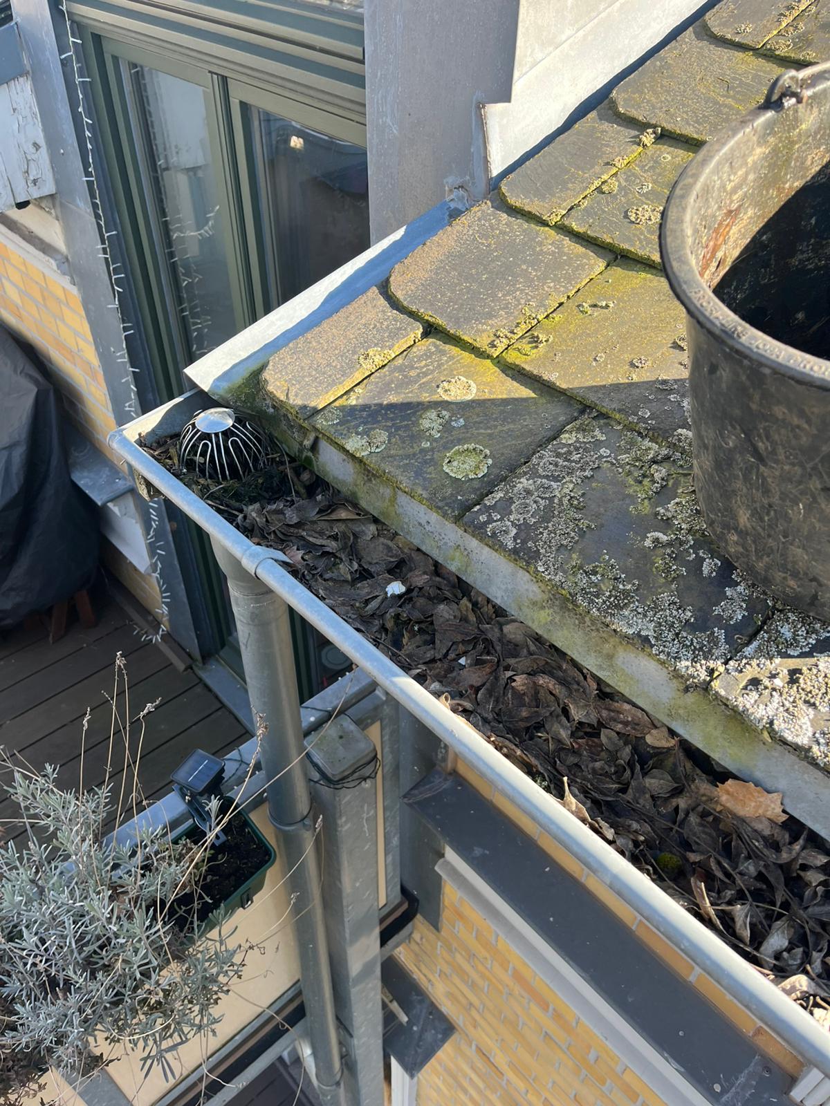 Moderner Garten mit Terrasse