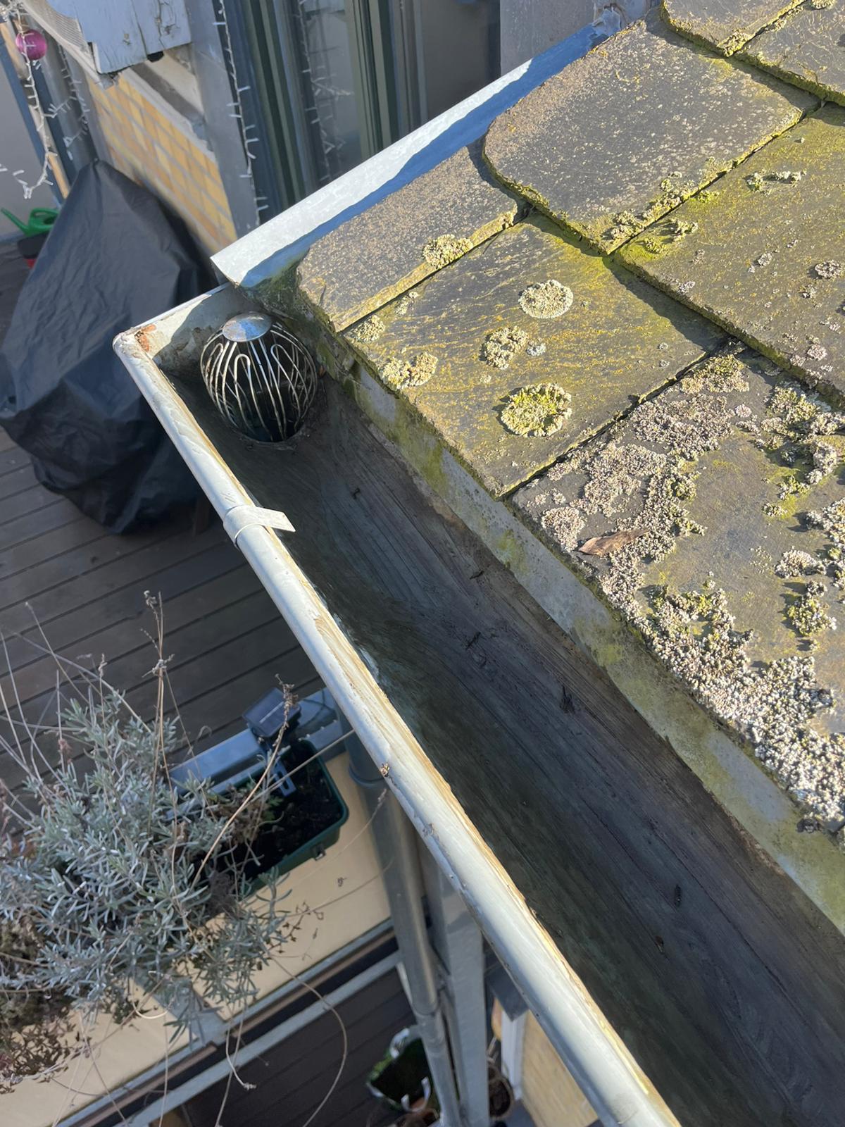 Moderner Garten mit Terrasse