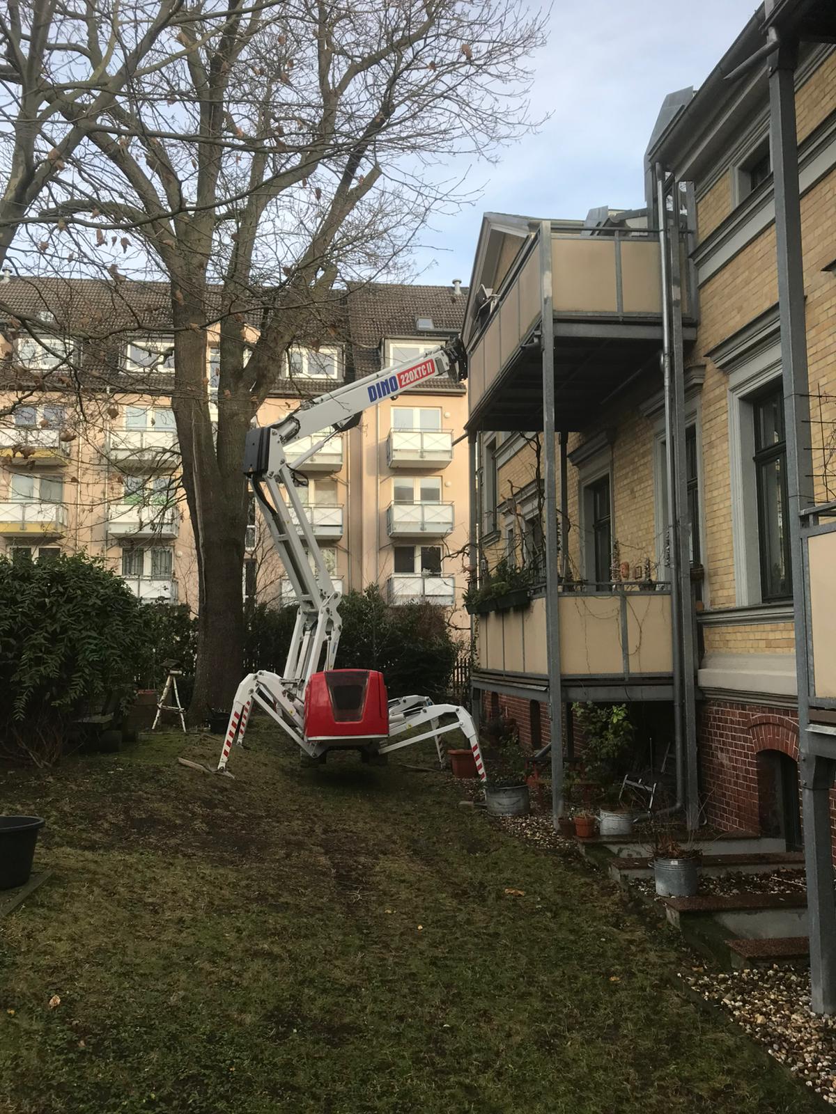 Baumfällung und Forstpflege im Habichtswald