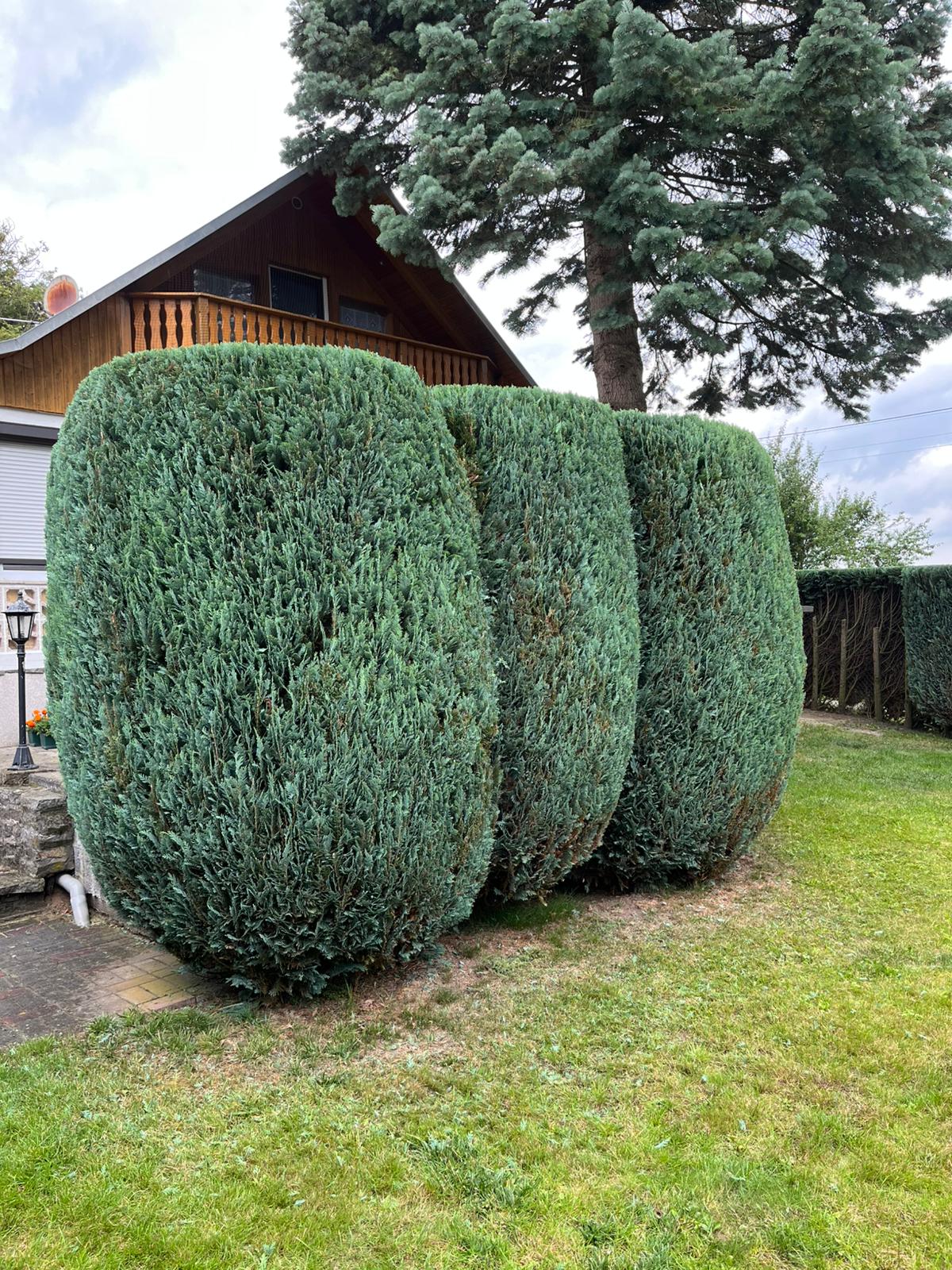 Parkanlage mit Teich und Gehwegen