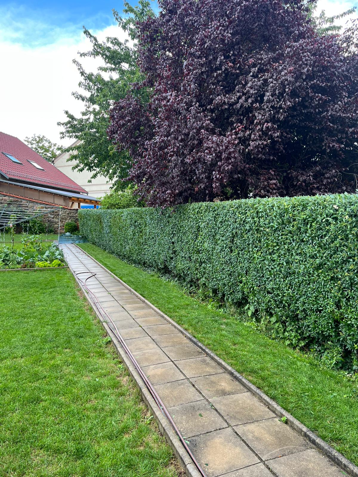 Moderner Garten mit Terrasse