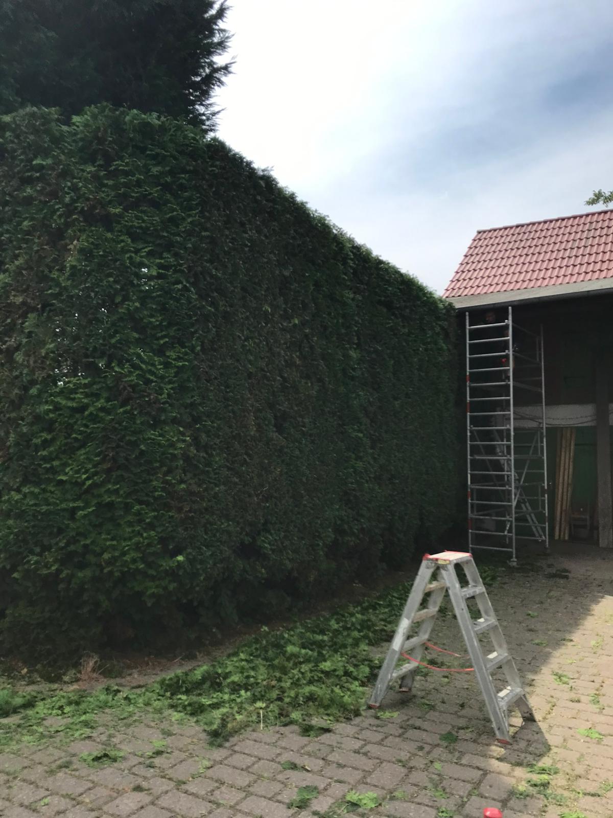 Moderner Garten mit Terrasse