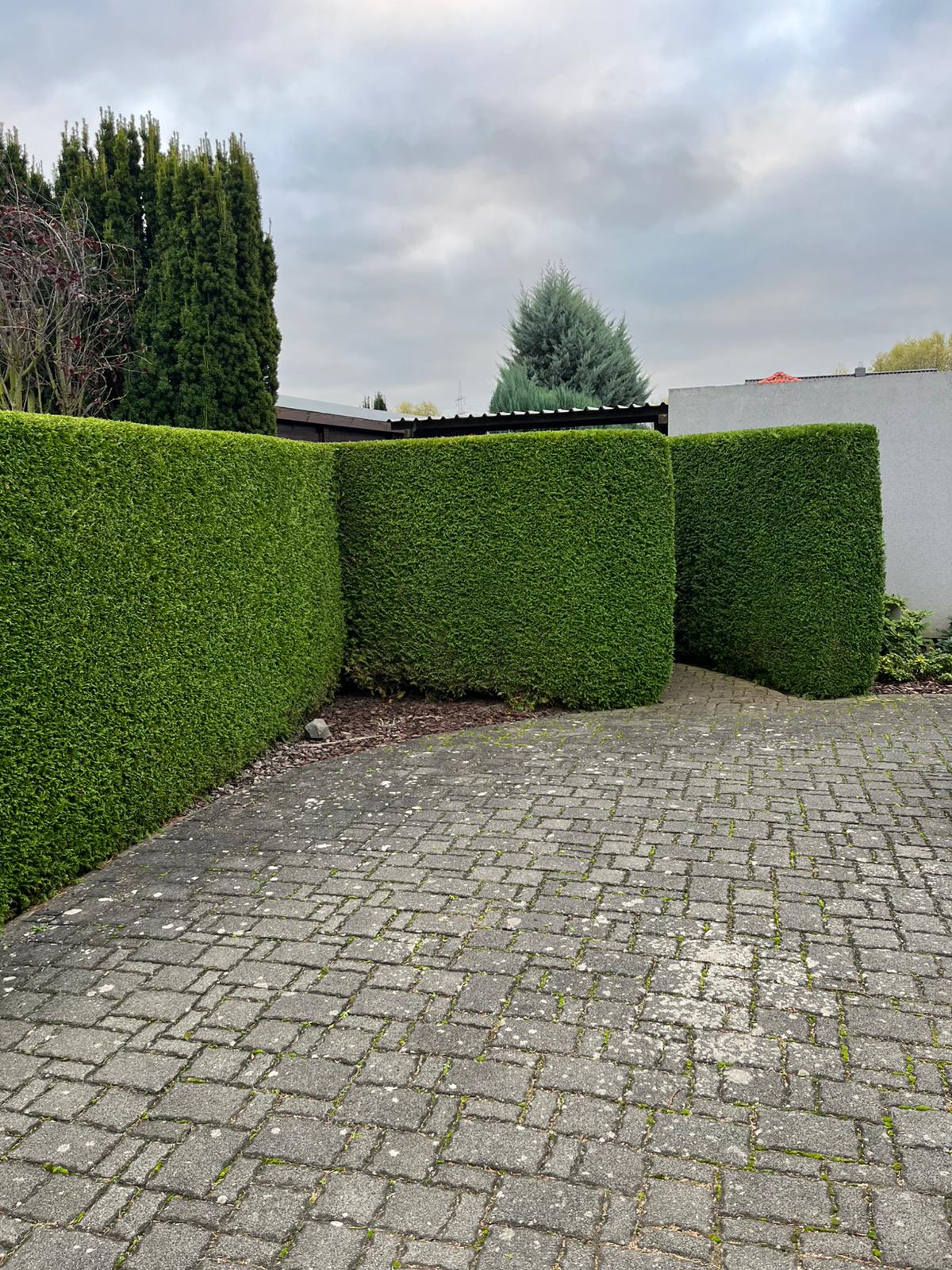 Moderner Garten mit Terrasse