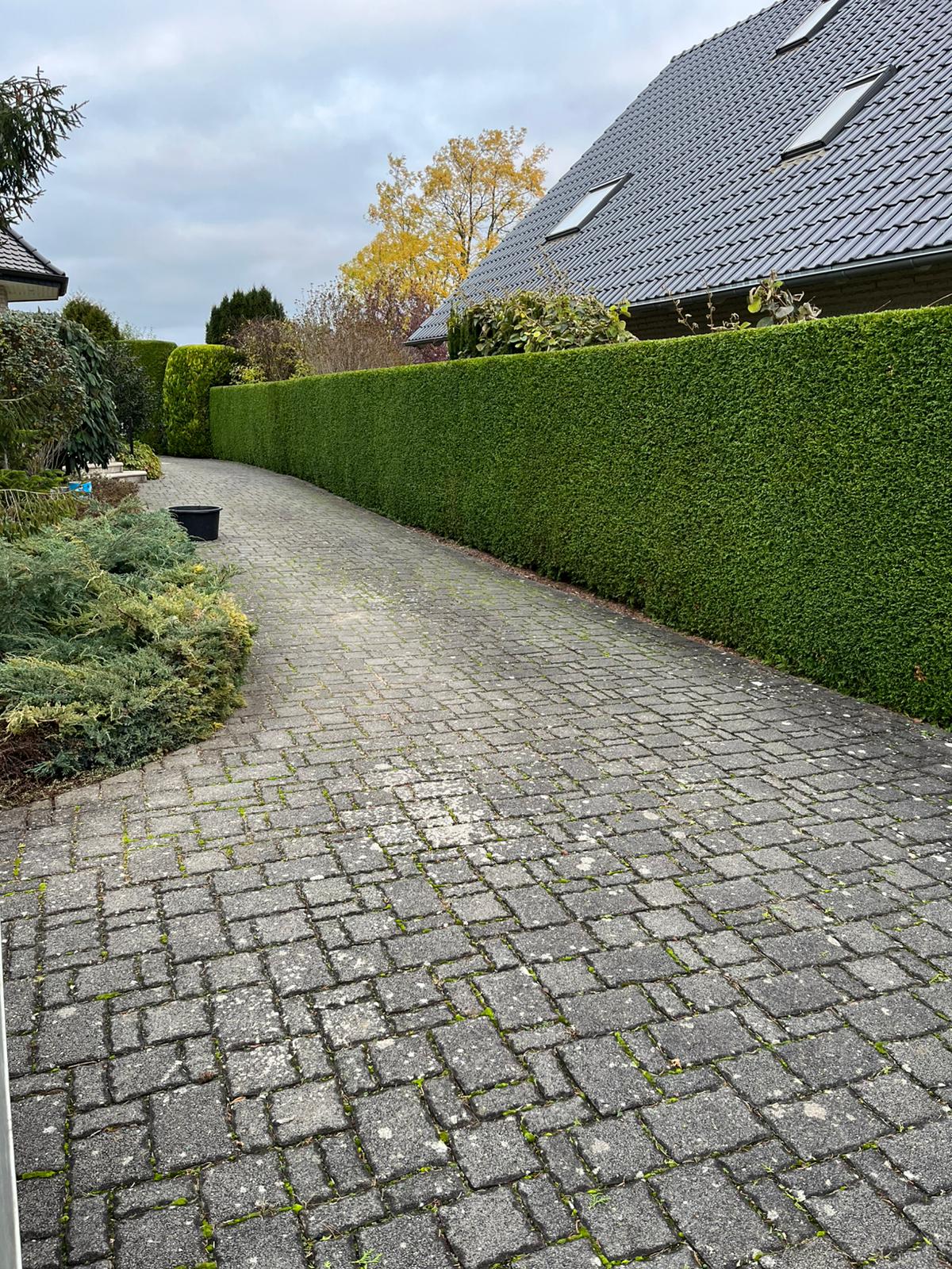 Moderner Garten mit Terrasse